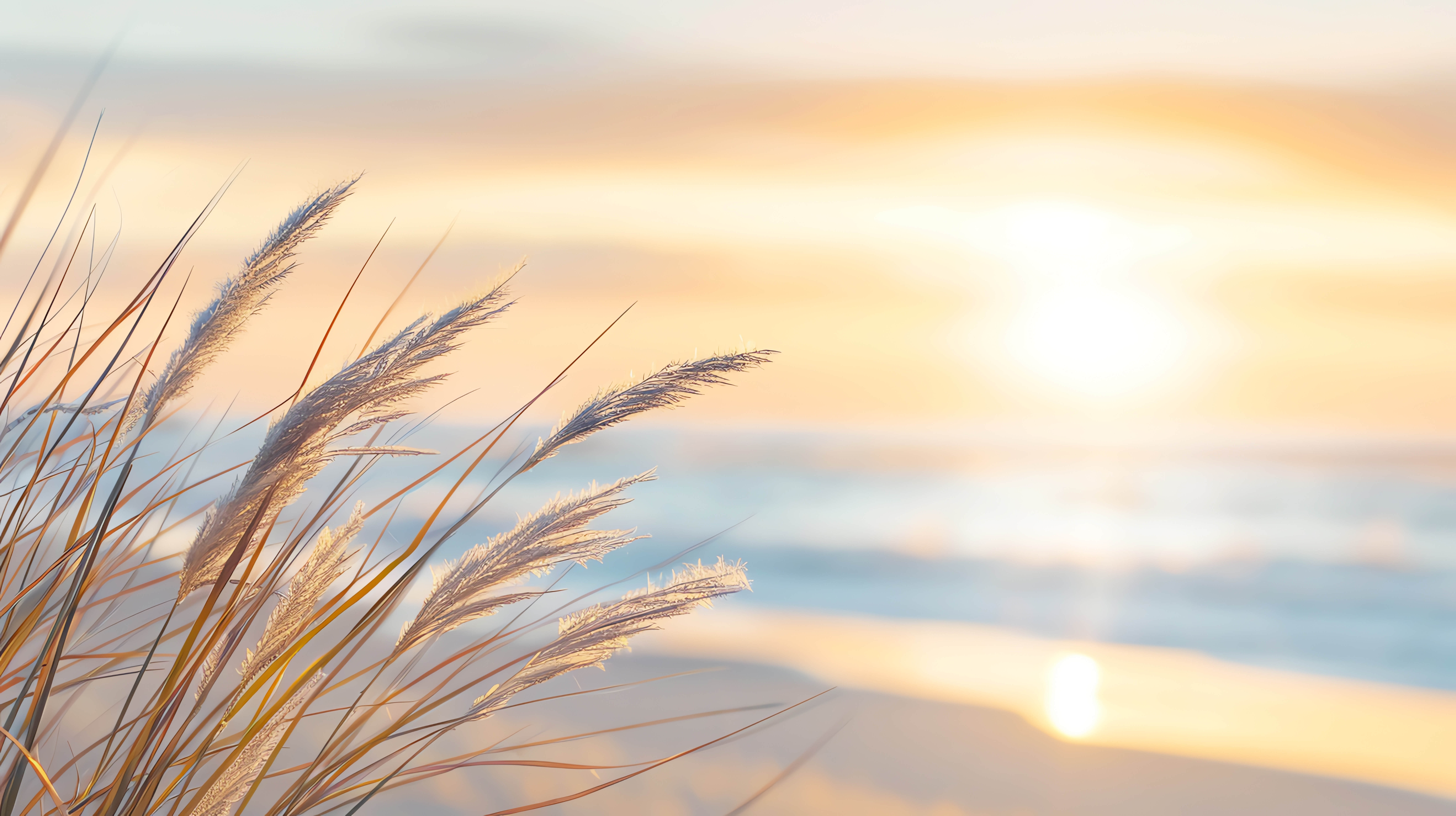 Freepik - Sommer ≠ Leichtigkeit für alle